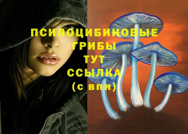 каннабис Богородицк