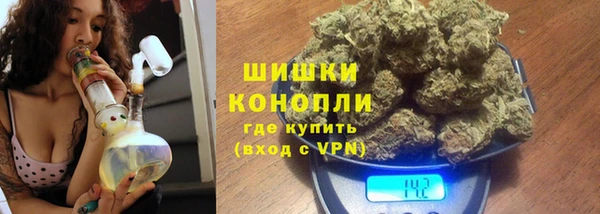 гидропоника Богородск