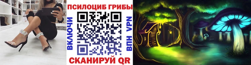 Галлюциногенные грибы MAGIC MUSHROOMS  Дедовск 