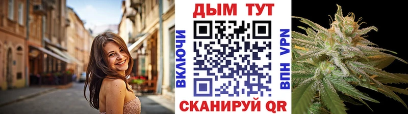 как найти наркотики  Дедовск  Марихуана Ganja 